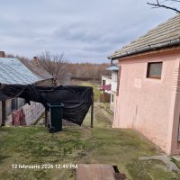 Miniatură 2