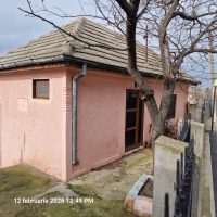 Miniatură 3