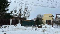 Miniatură 11