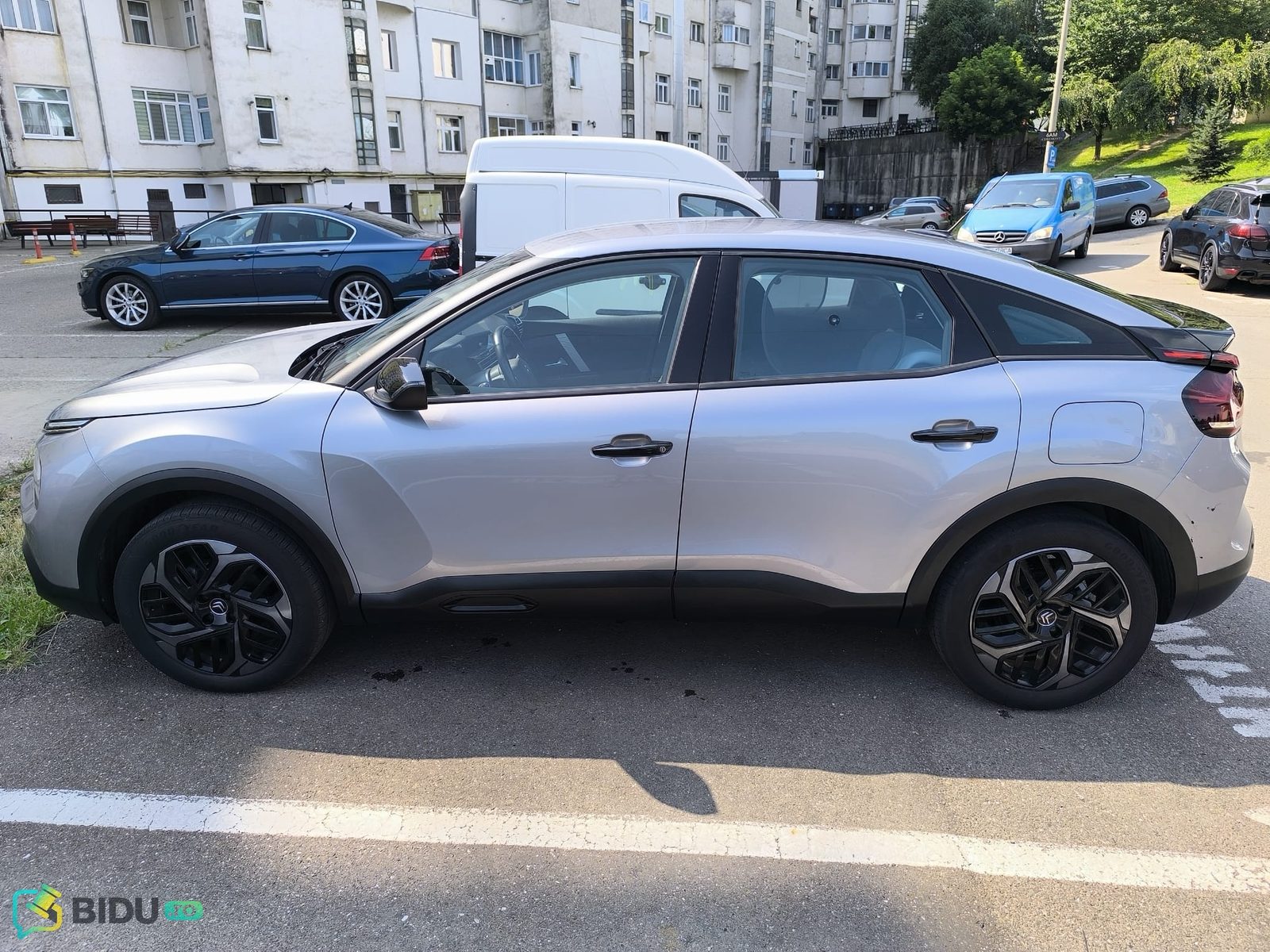 Miniatură 6
